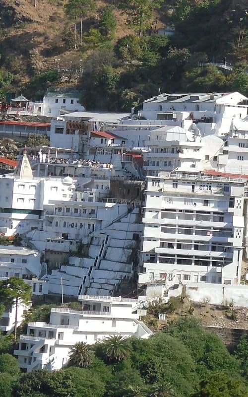 Driver in Chandigarh