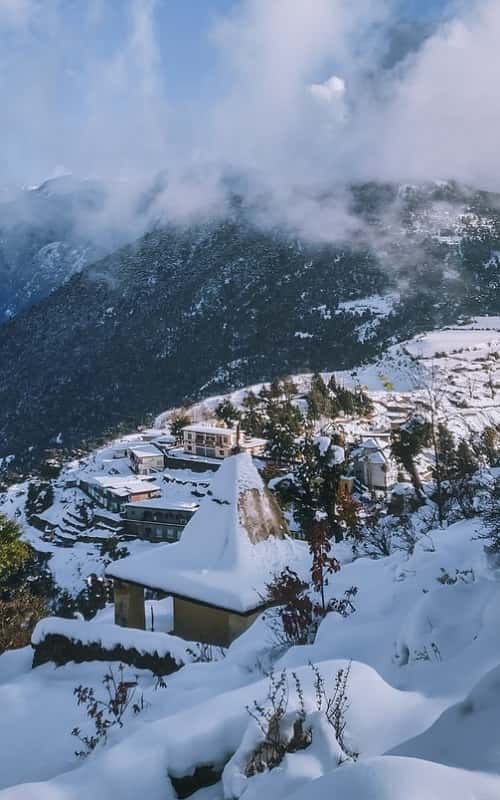 Driver in Chandigarh